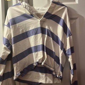 Abercrobie and Fitch cropped purple and white stripped long sleeve shirt